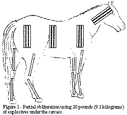 [Figure 1]