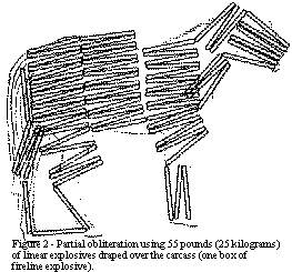 [Figure 2]